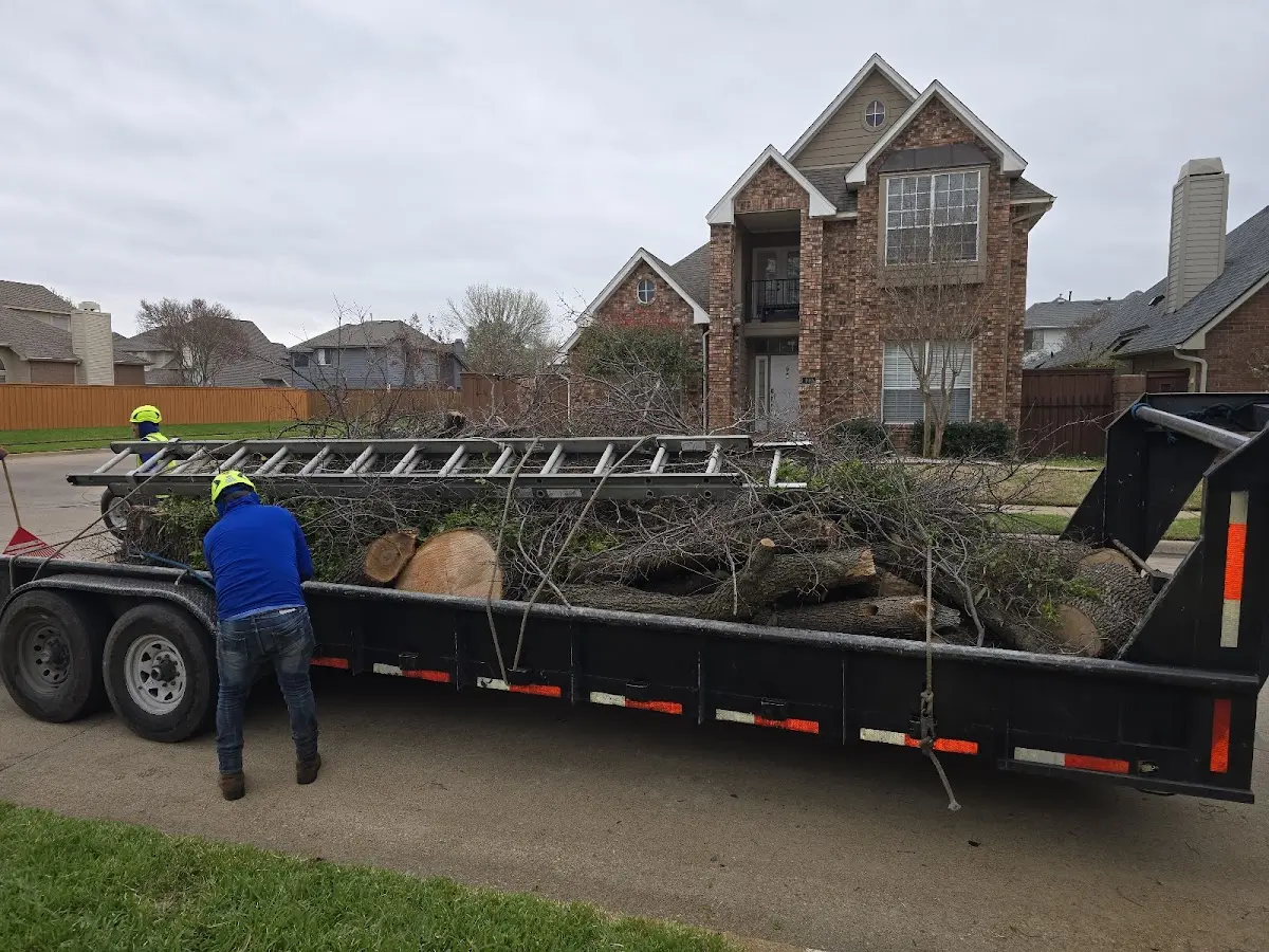 Expert Lot Clearing with proper safety equipment in Como